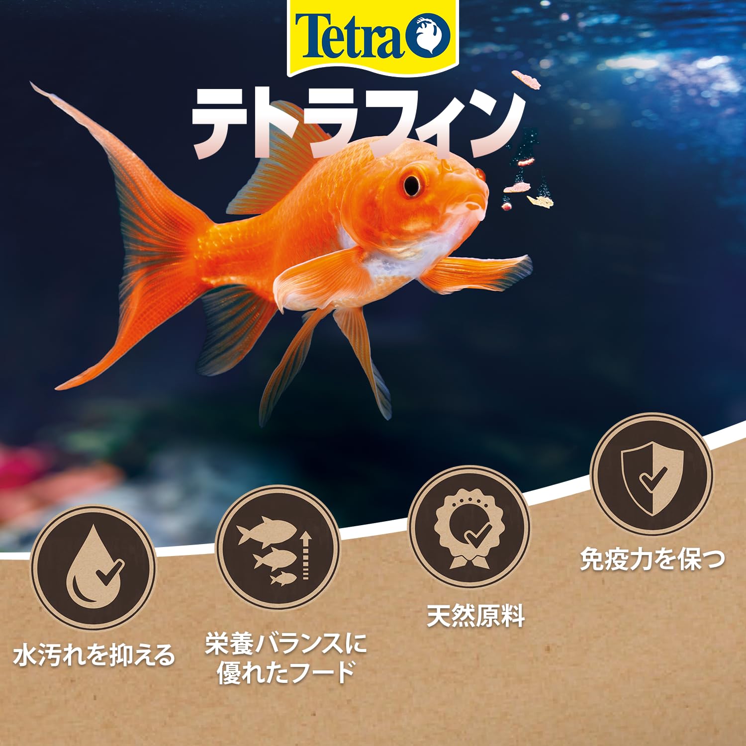 Amazon.co.jp: テトラ(Tetra) テトラフィン 平たい特小粒 50G 金魚の餌
