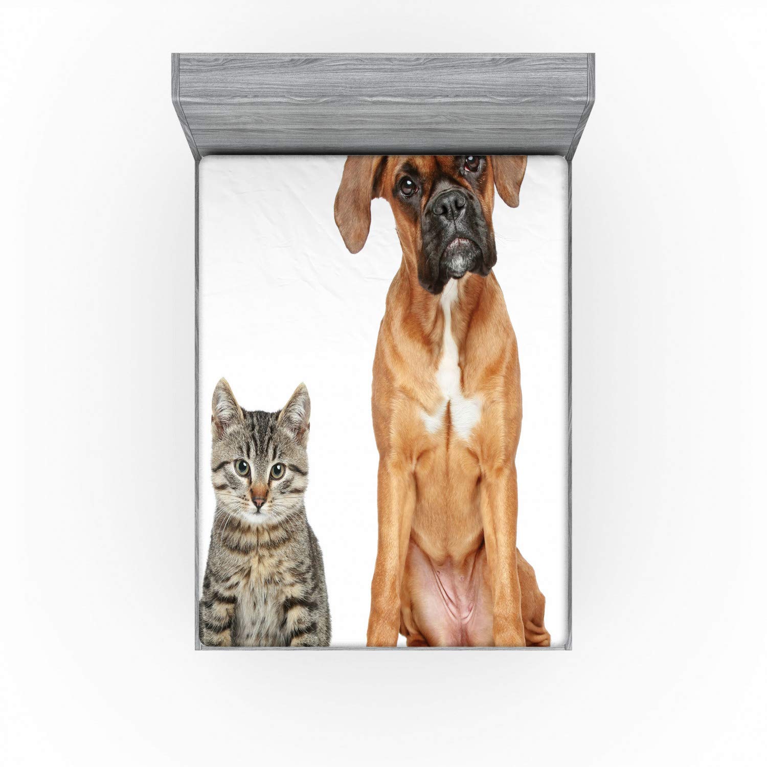 Ambesonne Boxer Dog Fitted Sheet, Photo of a Cat and Dog Sitting Together Animal Friendship Theme Pet Lover Concept, Bed Cover with All-Round Elastic Pocket for Comfort, California King, Beige Brown