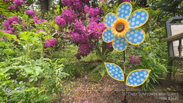 Amazon.com: In the Breeze 2678.5 — 16 英吋(約40.6 公分)藍色雛菊