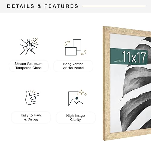 Vista 278 de MCS Industries Studio Gallery - Marcos con textura de madera color gris de 13 x 19 pulgadas / 33.02 x 48.26 cm., 2 unidades Gris Woodgrain