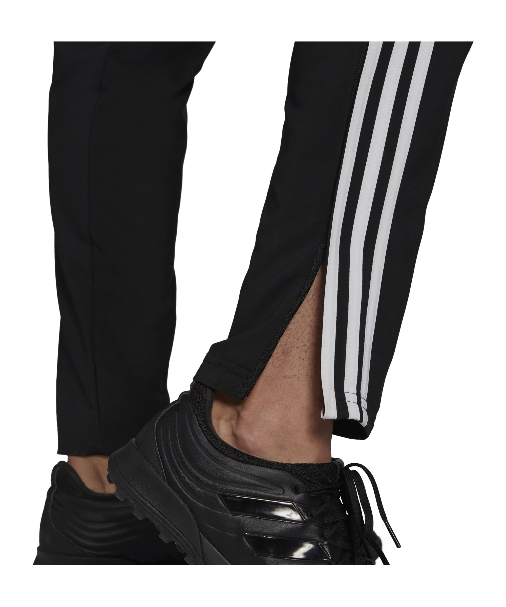 adidas Condivo 22 Präsentationshose