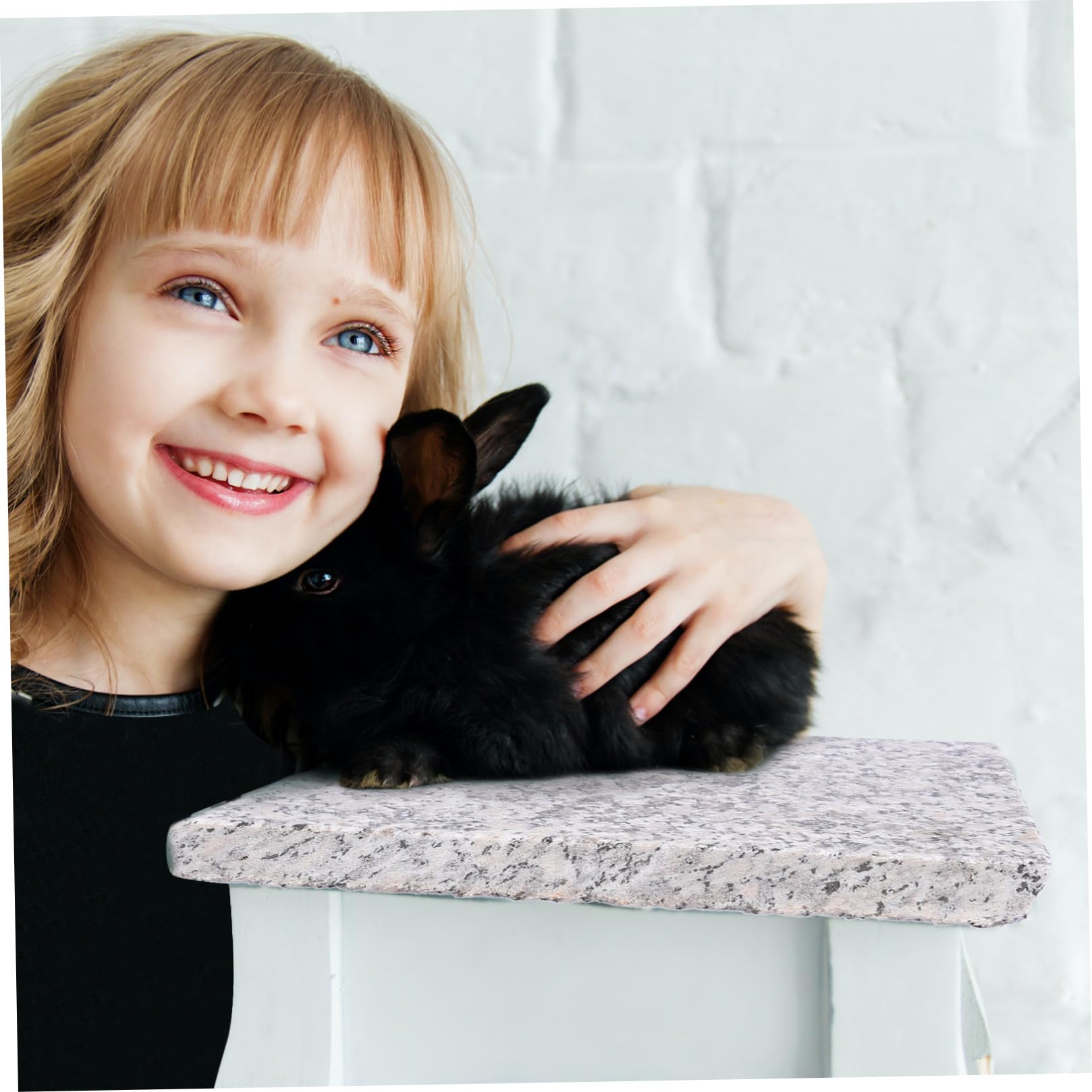 jojofuny Plaque Rafraîchissante en Pierre Moorstone pour Hamster et Petits Animaux, Plateau Portable et Frais pour L'sommeil des Animaux de Compagnie