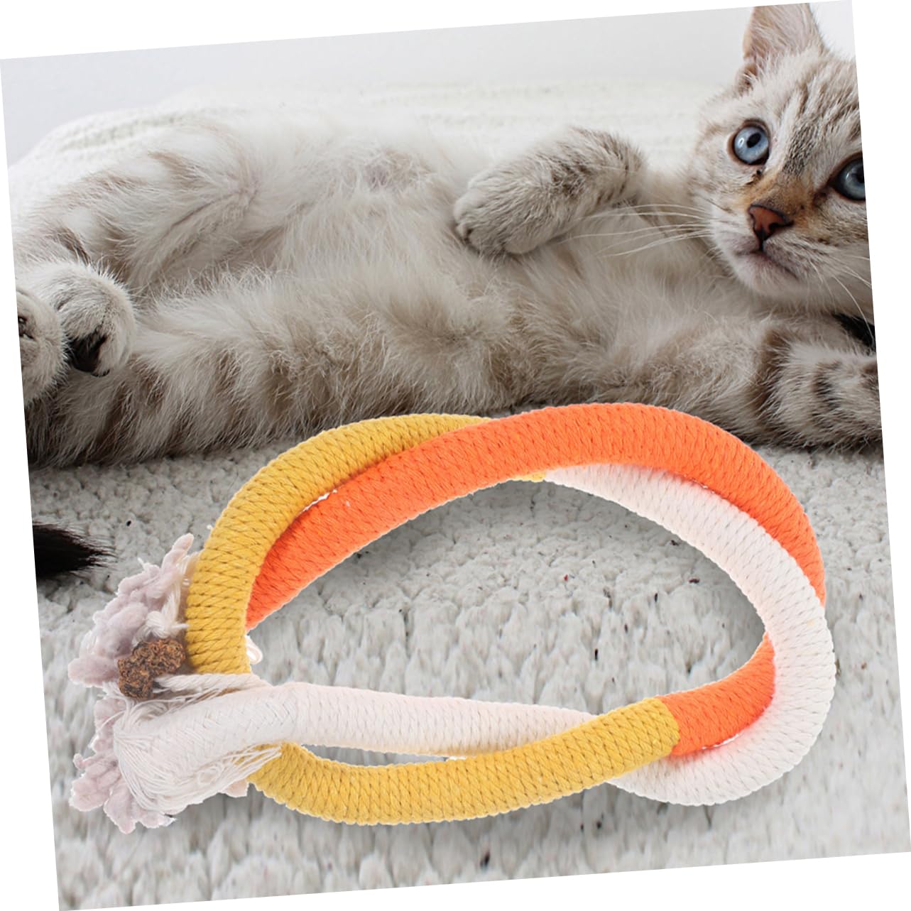 POPETPOP 15 Pièces Corde À Mâcher pour Chat Jouets À Mordre pour Chat Corde À Cataire Jouets pour De Meulage De Dents De Jouet pour en Coton pour