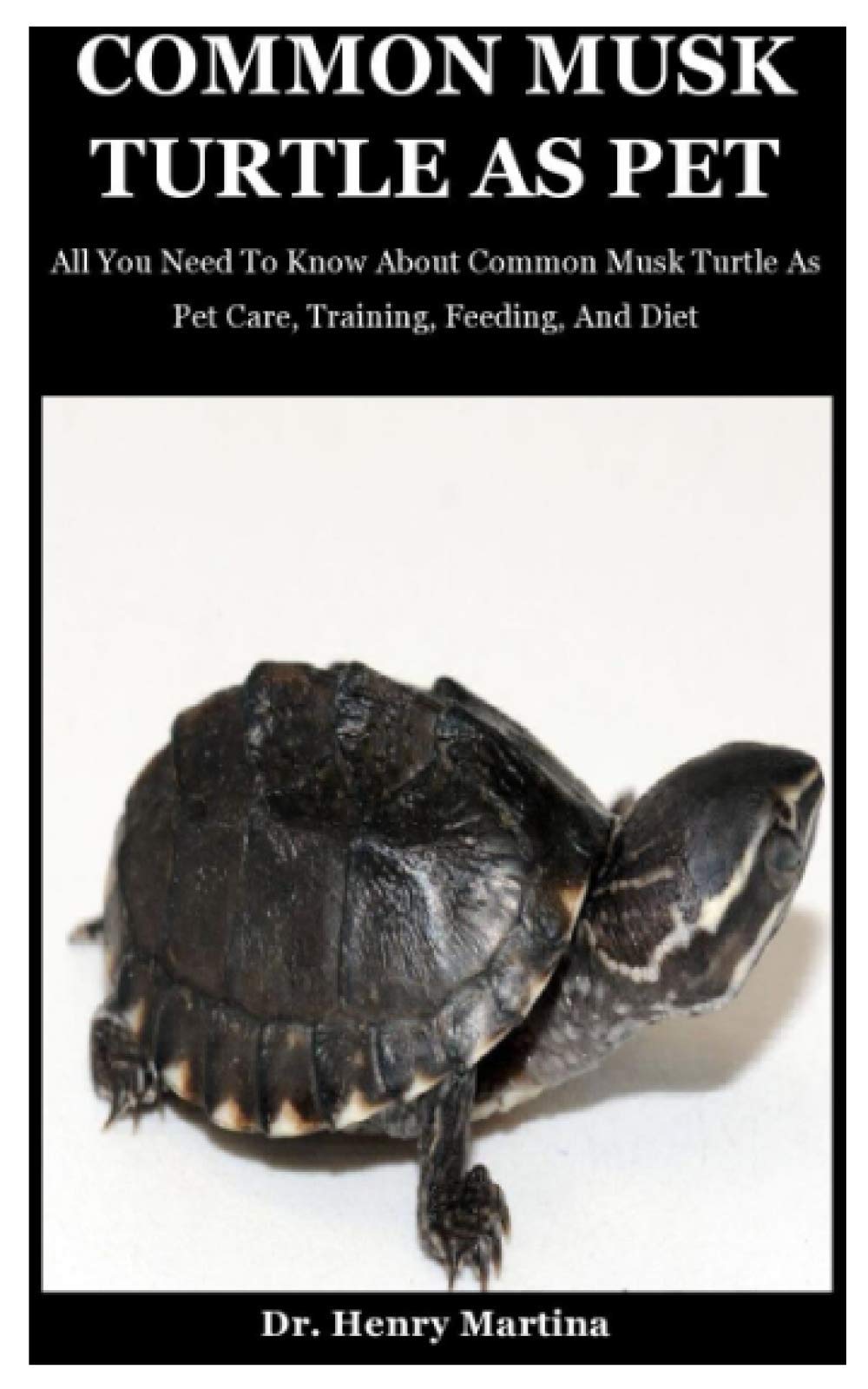 Buy Common Musk Turtle As Pet All You Need To Know About Common Musk
