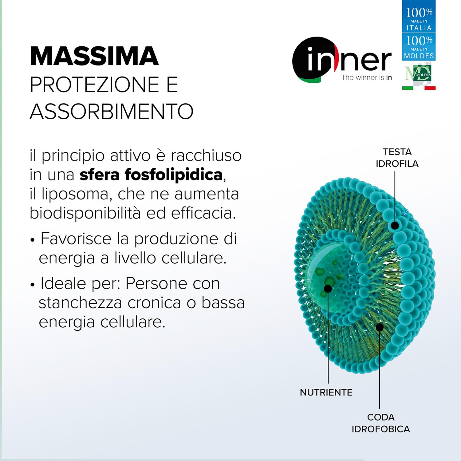 Inner Q10 Liposomiale 60 cps - Integratore Coenzima Q10 ad Alta Biodisponibilità per Azione Antiossidante, Energia Cellulare, Cuore e Performance