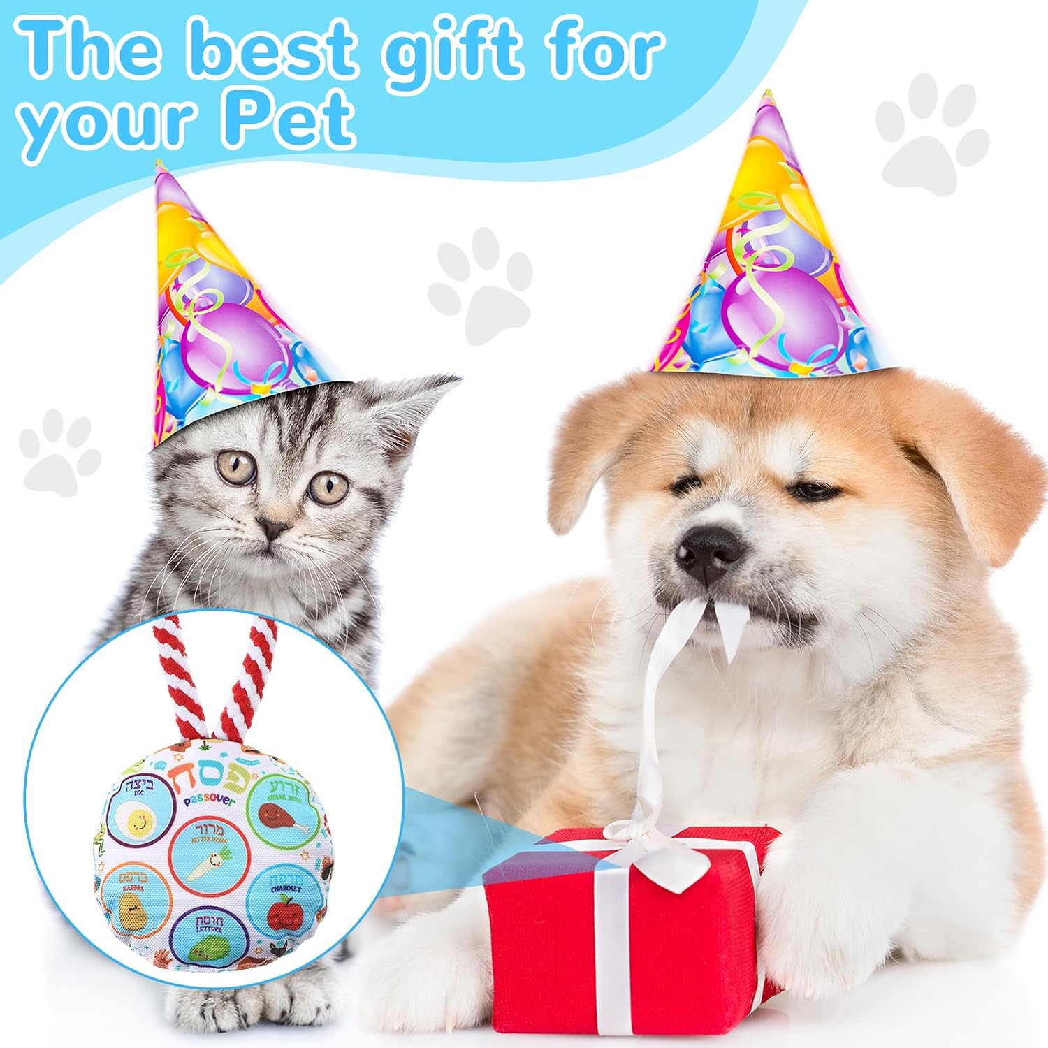 Passover Bone Squeaky Dog Passover Themed Seder Puppy Teething Animal Rope Gifts for Dog Owners Judaica Jewish Holiday Party Favors Chanukah Accessories(Plate) image 5