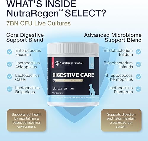 Miniatura 3 de Nutraregen Select Digestive Senior Dog Probiotic Powder 30 porciones  Probióticos para perros con sabor a carne de res para la salud digestiva,