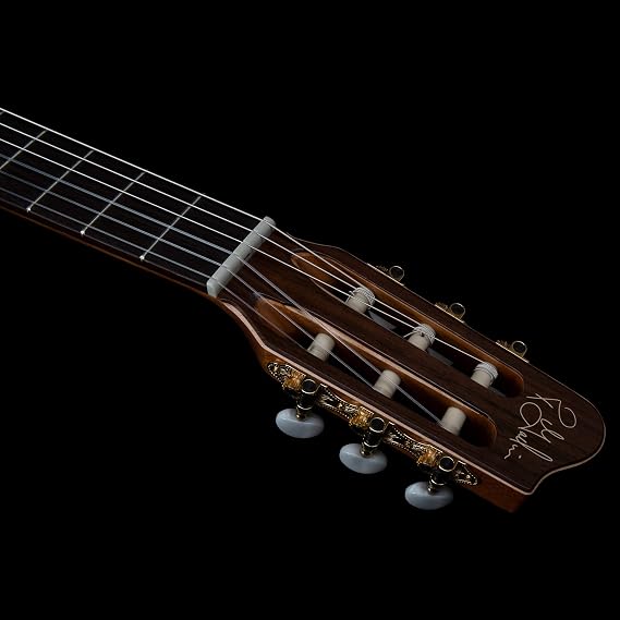 Godin 049752 Presentation Nylon String Classical Guitar