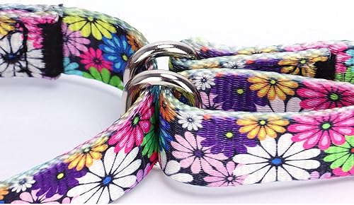 Miniatura 3 de Pimaodog Collar de perro de nailon resistente, collar de perro Martingale ajustable para entrenamiento de caminar, perros niños y niñas, perros