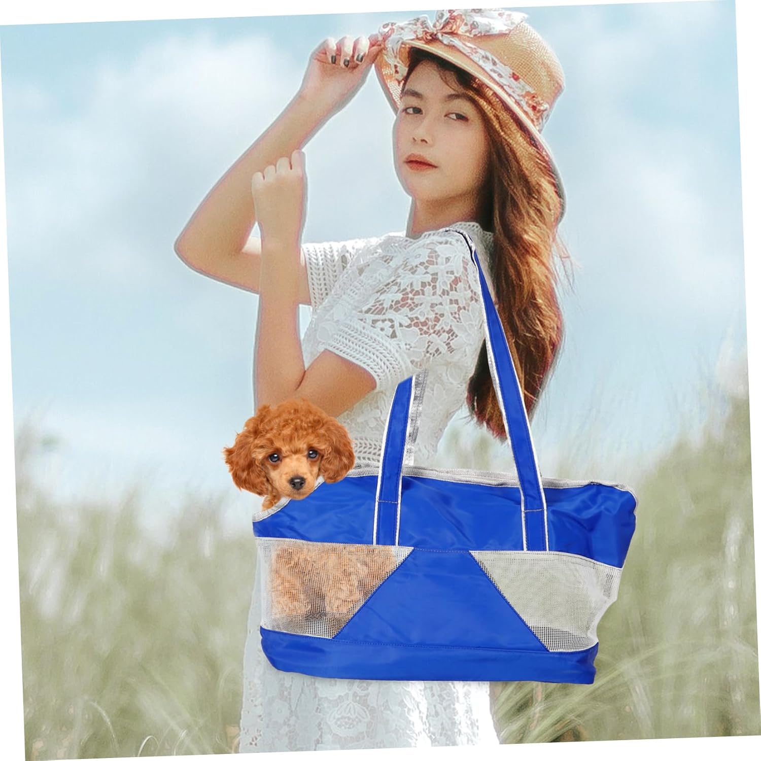 BESTonZON Portable Cat Carrier Bag for Travel Breathable Pet Bag for Cats Dogs Comfortable Design for Hiking Vet Visits and Daily Outings Capacity Easy to