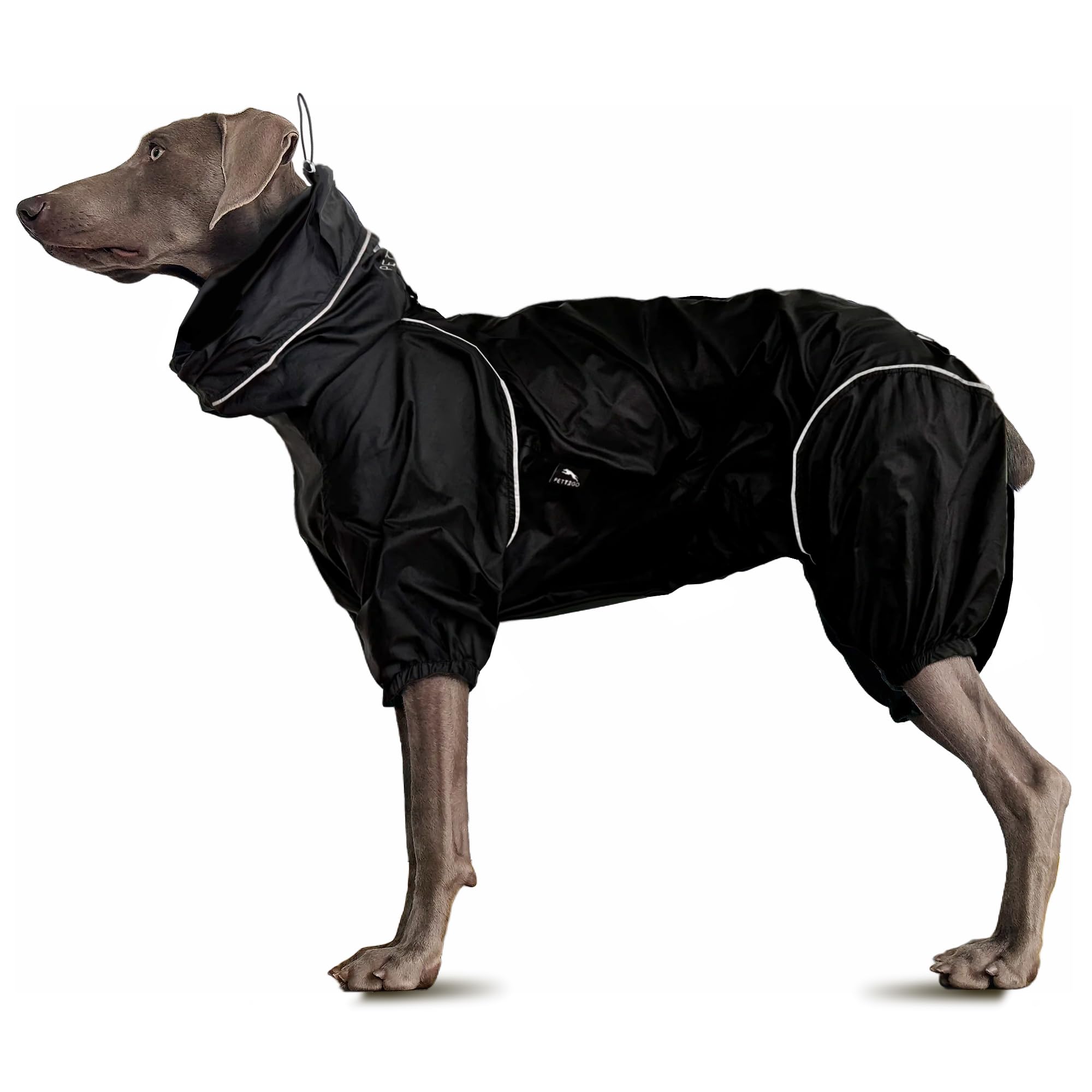 Coupe-Vent Léger pour Chien, Manteau avec Jambes, à Capuche, Trou pour Laisse, Réfléchissant, Compactable (Noir Charbon, M)