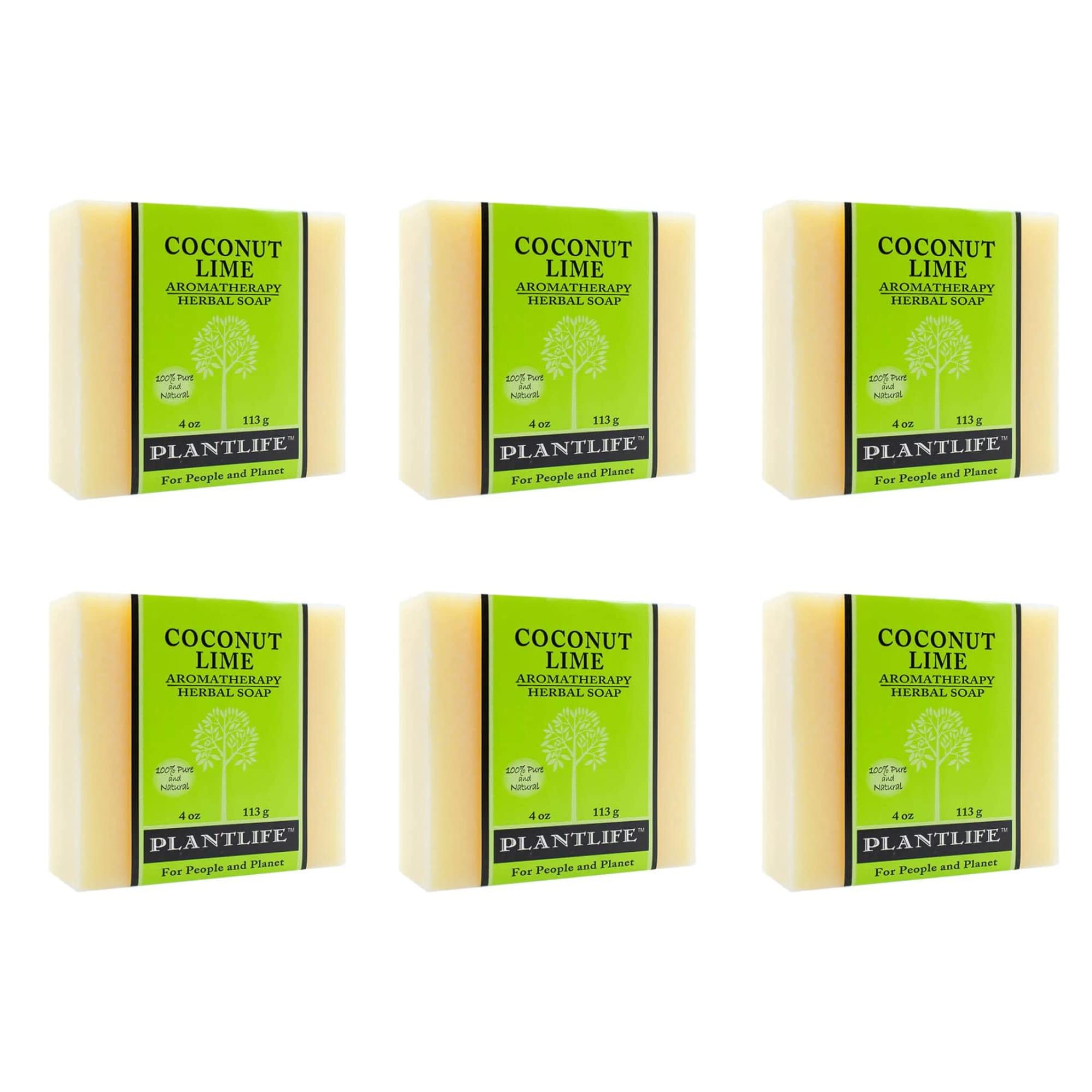 Plantlife Coconut Lime Natural Bar Soap 6-Pack, Handcrafted, Vegan, 4 oz