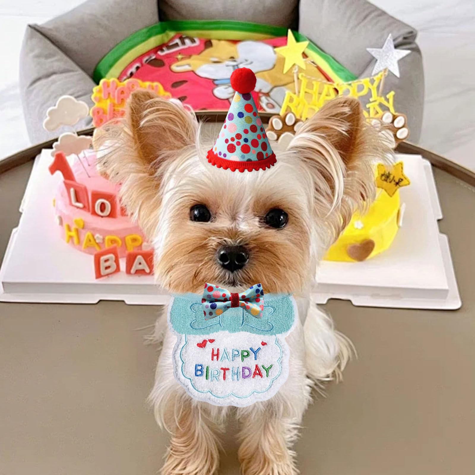 dog birthday tie