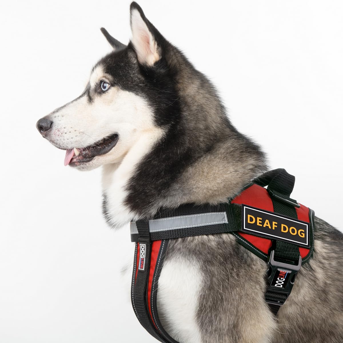 Deaf Dog Patches