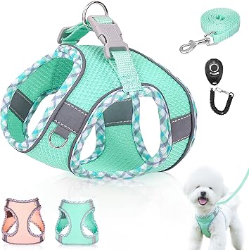 Dog Harness and Leash Set,Soft Mesh Breathable Dog Vest Harness with Training Clicker,Adjustable No Pull Reflective Pet Vest Harness with Safety Buckle for Small Medium Dogs, Cats, Puppies Green, XS