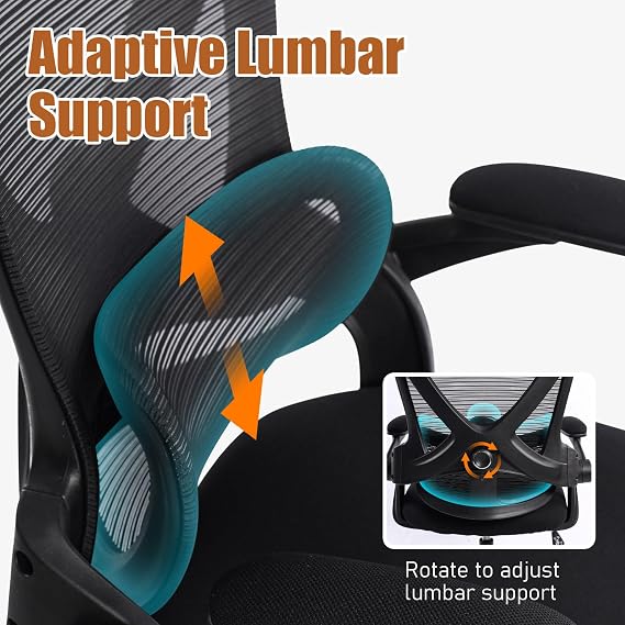 Ergonomic Office Chair with Lumbar Support and Flip-Up Armrests,Black