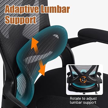Ergonomic Office Chair with Lumbar Support and Flip-Up Armrests,Black