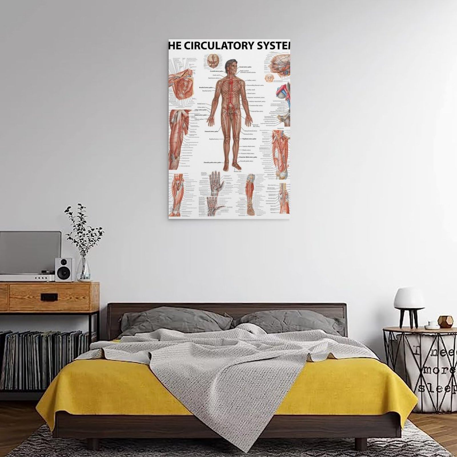 The Human Circulatory System nowoczesne wydruki na płótnie, obrazy dekoracyjne do pokoju chłopca lub dziewczynki, obrazy ścienne do salonu i obrazów z motywami świątecznymi, 30 x 40 cm