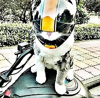 Vista 5 de Casco de motocicleta para mascotas, casco de motocicleta de cara completa para perros y gatos, casco de motocicleta para exteriores, para gato