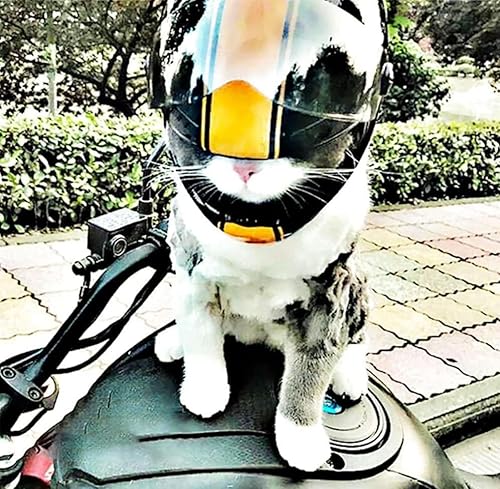 Miniatura 5 de Casco de motocicleta para mascotas, casco de motocicleta de cara completa para perros y gatos, casco de motocicleta para exteriores, para gato,