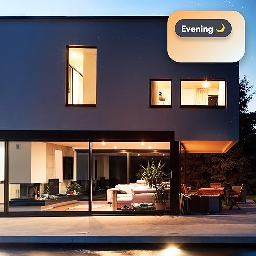 BR30 Smart Light(1 Count (Pack of 1))