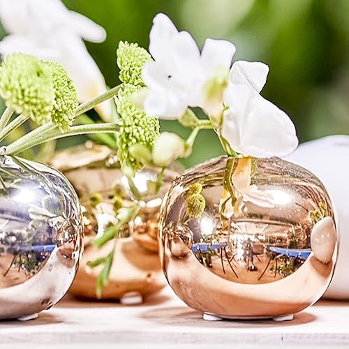 Miniatura 5 de Chive - Juego de 6 floreros pequeños JoJo de cerámica de 3 pulgadas, florero redondo de cerámica, florero decorativo moderno para decoración del