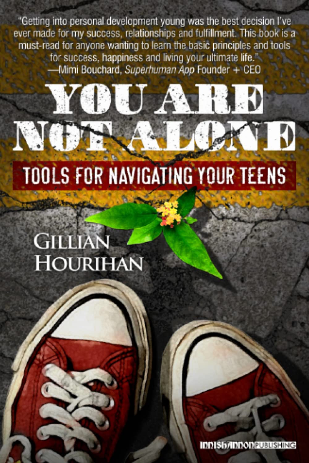 You Are Not Alone: Tools For Navigating Your Teens