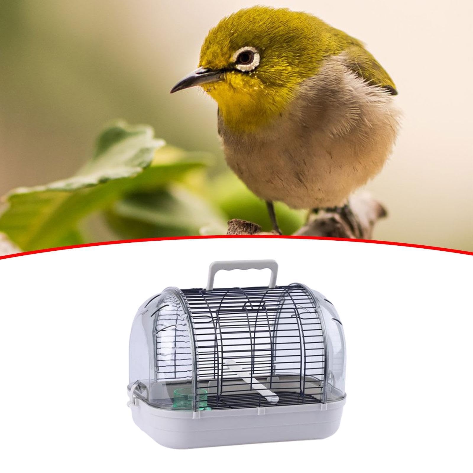 Fenteer Transportador de Aves para Loros Y Periquitos, Diseño Práctico, L Gray