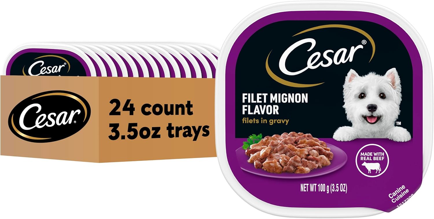 Cesar Filets in Gravy, Adult Wet Dog Food, Filet Mignon Flavor, Wet Food for Dogs, 3.5 oz Trays, 24 Count