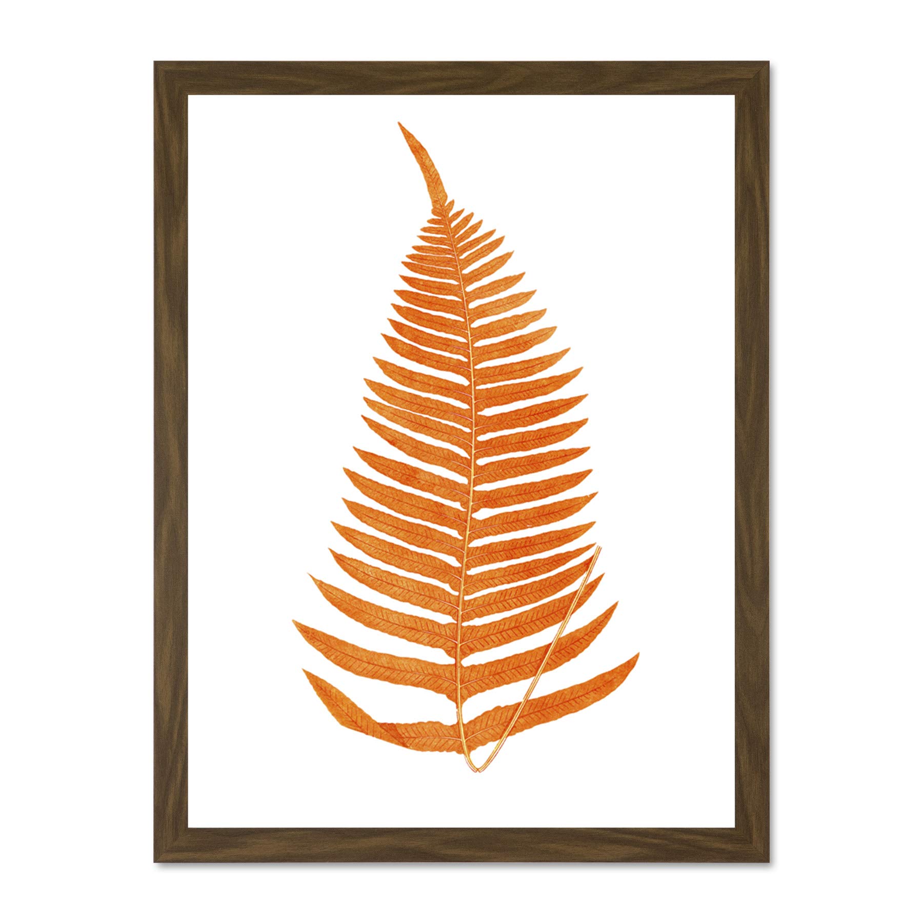 Wee Blue Coo Botanics Red Orange Fern Large Brown Framed Art Print Wall Poster 18x24 inch