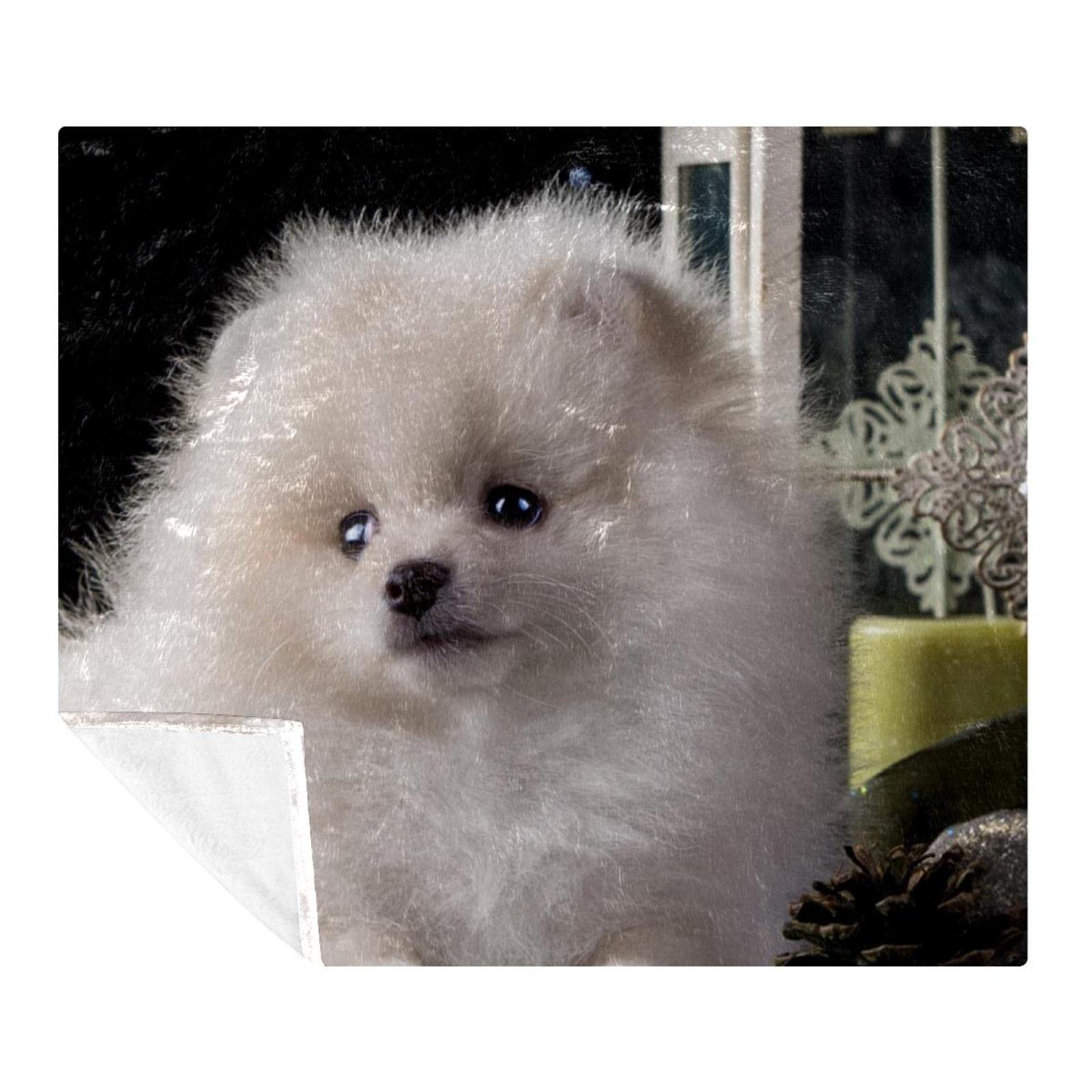 Couverture en peluche chiot blanc contre le froid pour des siestes douces