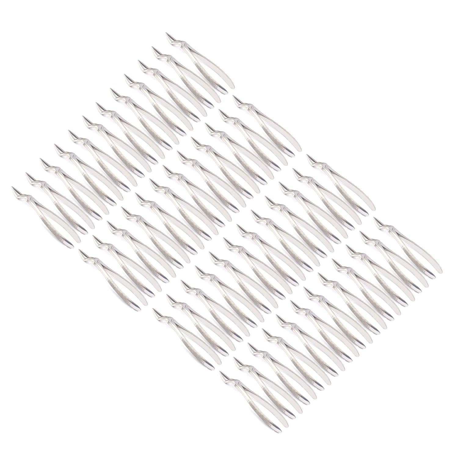 OdontoMed2011 Set Of 50 Dental Extracting Forceps 51L Dental Extraction Instruments ODM