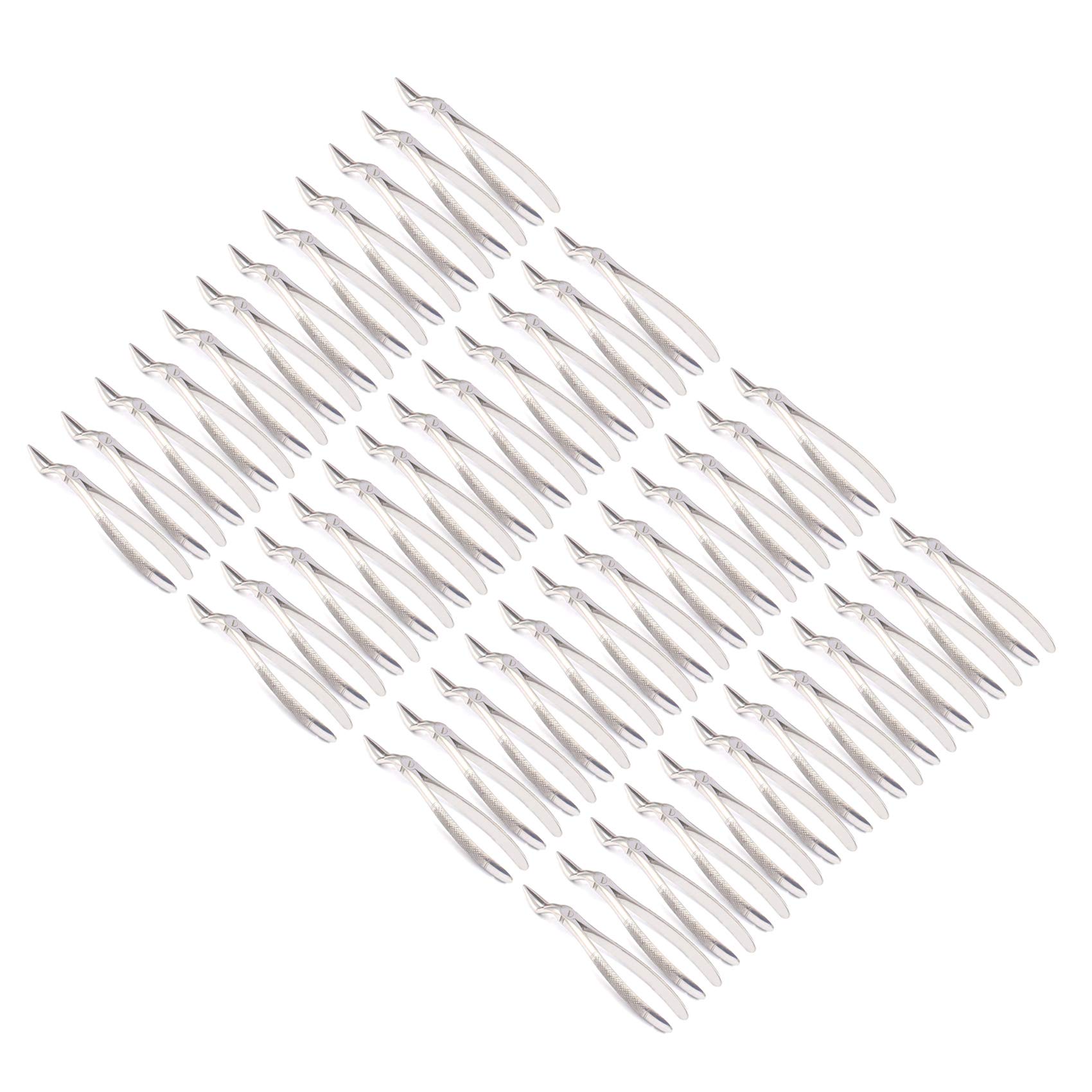 OdontoMed2011 Set Of 50 Dental Extracting Forceps 51L Dental Extraction Instruments ODM