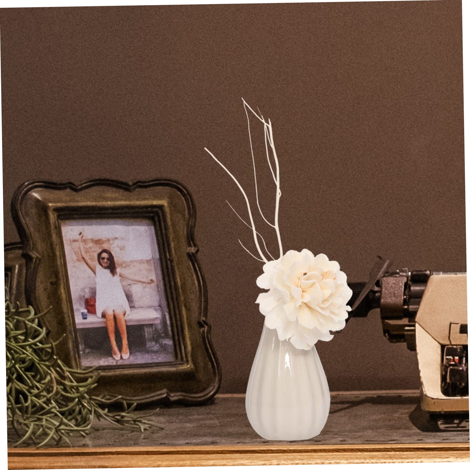 50pezzi Bastoncini Diffusori Salice Per Oli Essenziali Decorazione Aromatica Per Casa e Ufficio Adatti Piccoli Spazi e Ambienti Come Soggiorno Camera Da Letto e Bagno
