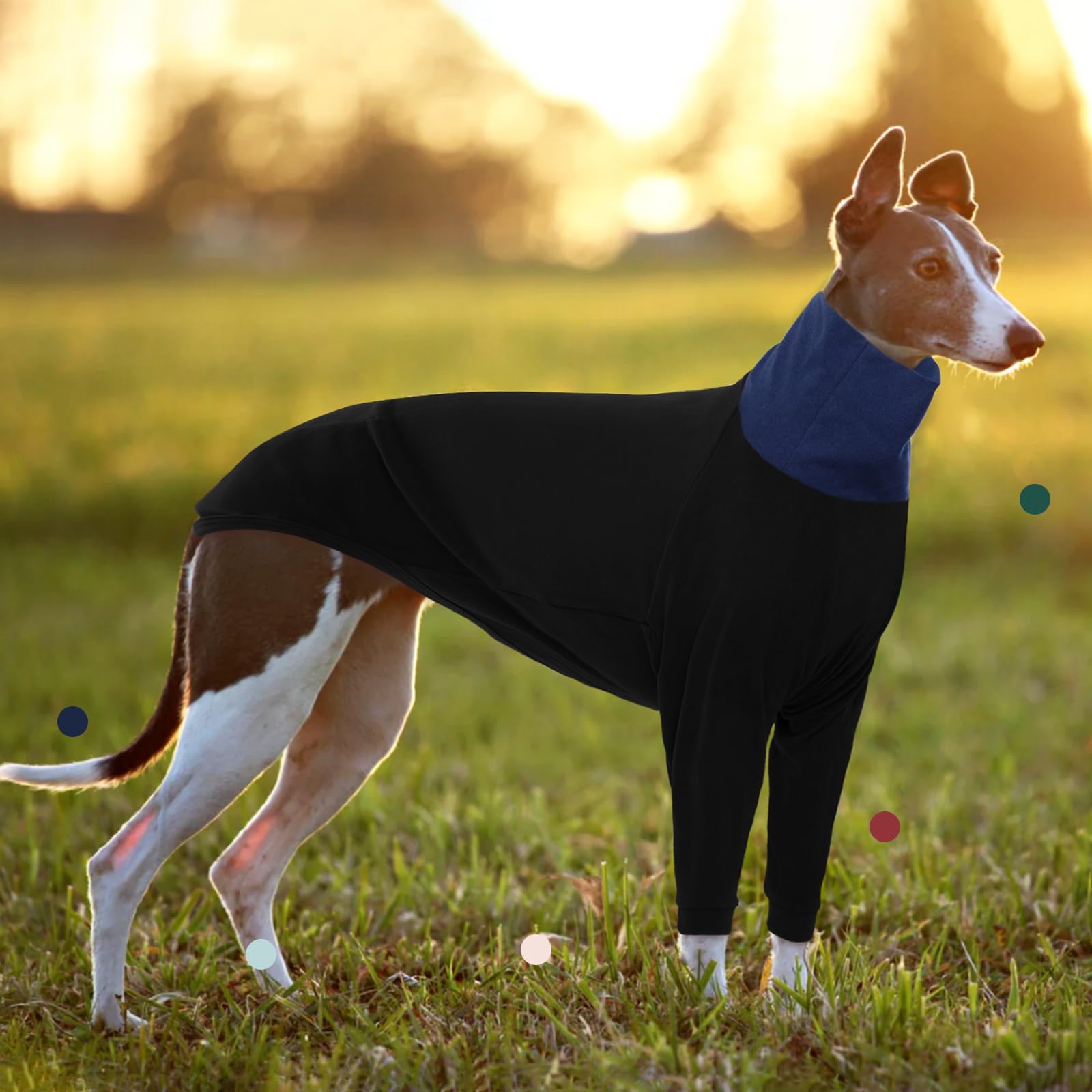 IECOii Pull lévrier, vêtements Whippet à manches longues, combinaison à col roulé italien pour lévrier, pyjama en polaire, manteau d'hiver super chaud pour lévrier lévrier, salukis, taille XL