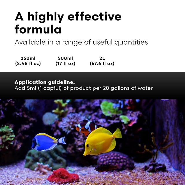 Foto 5 de 7 de Brightwell Aquatics Chaeto Gro - Fertilizante líquido para Chaetomorpha, 500 ml