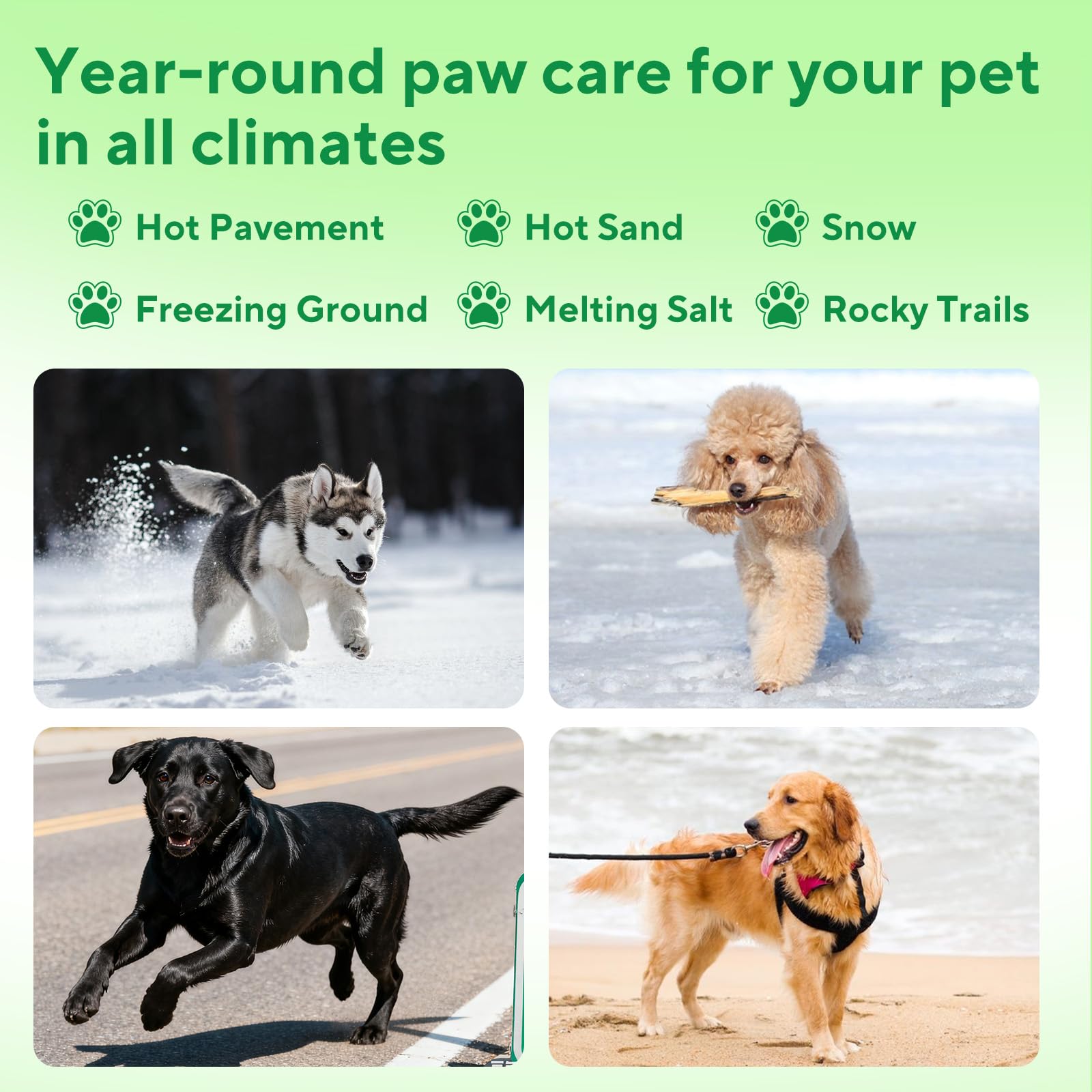 Lick-Safe Dog Paw & Nose Balm, Dog Paw Wax Protector with Coconut Oil, Moisturizer Soother Dry Cracked Snout & Pads, All-Natural Nose Butter & Cream for Horse Hoof, Cat Petts Care, 2.8oz/80g - image 6