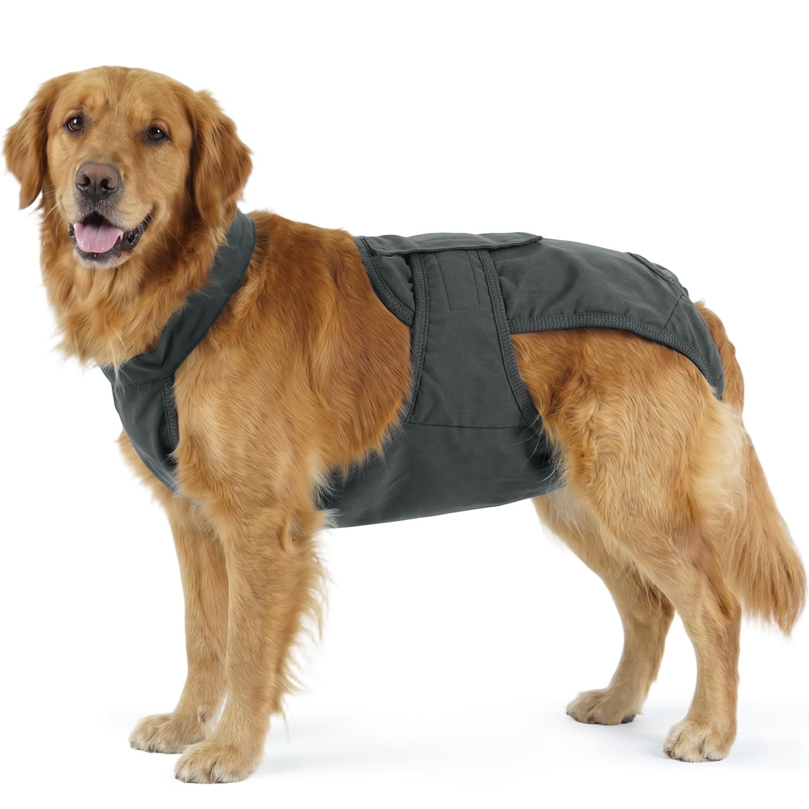 Photo 1 of IDOMIK Reusable Female Dog Diapers - Grey, 3XL