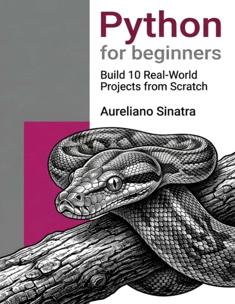 Python for beginners: Build 10 Real-World Projects from Scratch: Learn Python Step-by-Step by Creating Apps, Automating Tasks, and Solving Everyday Problems