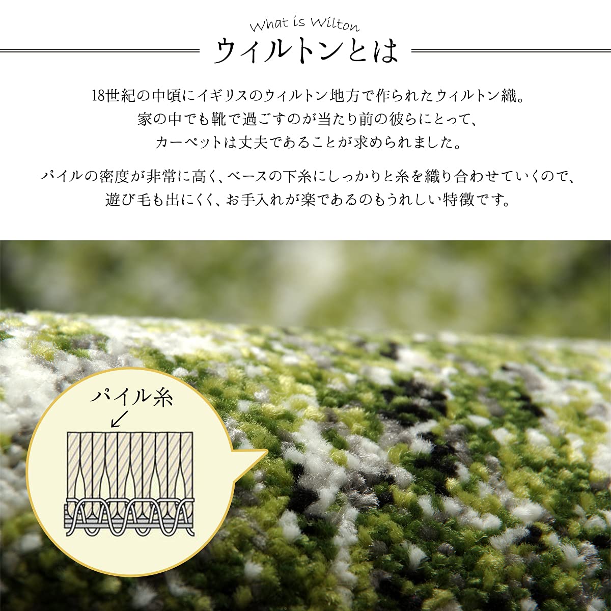 Amazon｜玄関マット 室内 ラグマット エデン 約70×120cm 大きめ