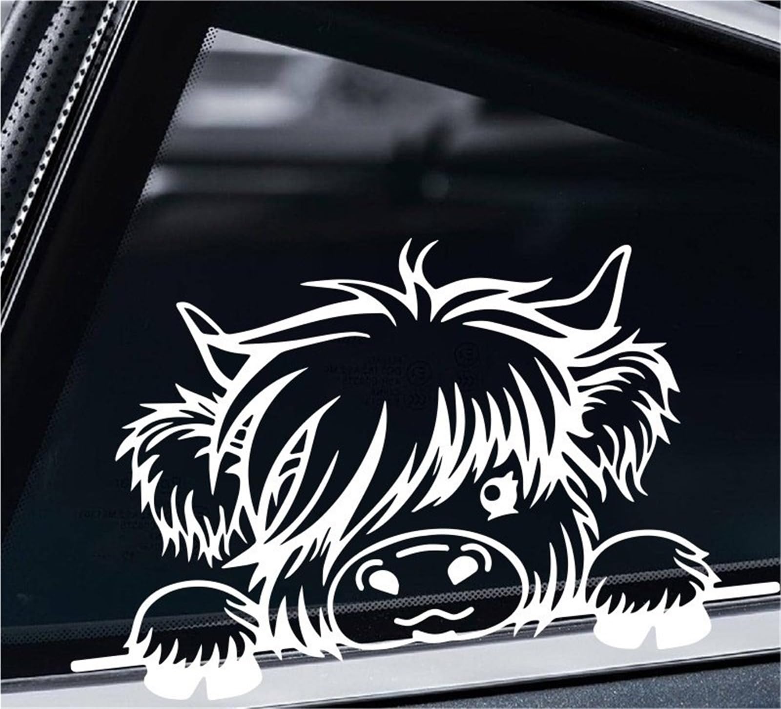 FGLFPXI Sticker Motorcycle Car Decal, Stickers, Bumper Sticker