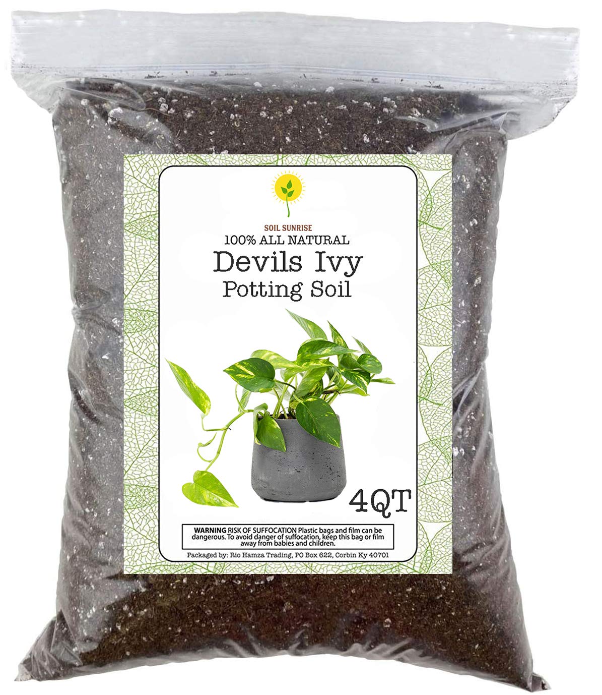 Buy Devils Ivy Plant Planting Soil, Hand Blended All Natural Potting