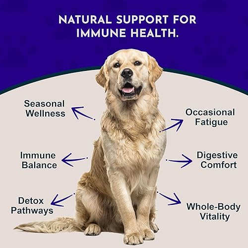 Miniatura 3 de Animal Essentials Echinacea Goldenseal - Fórmula de hierbas para perros y gatos para apoyo inmunológico, sabor dulce, hierbas 100% orgánicas de