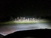 Review Image by Evan L. Evan L.