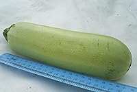 Vista 6 de Semillas Squash calabacines aspirant blanco vegetal Heirloom orgánico ruso Ucrania