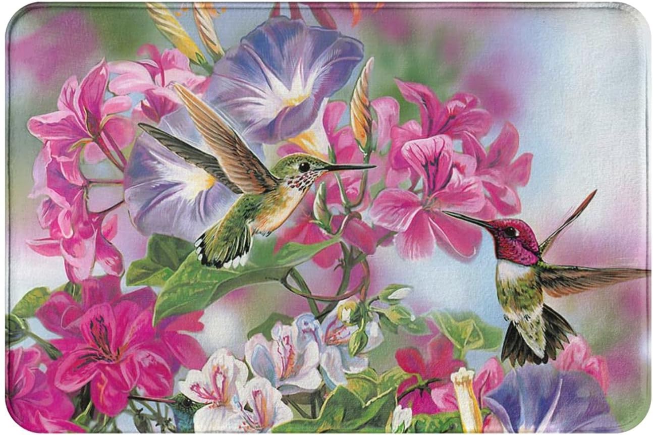 KXO Hummingbird Flowers Welcome Door Mat Painted Bird Rug Indoor Outdoor Mats Welcome Decor Rug 31"x20"