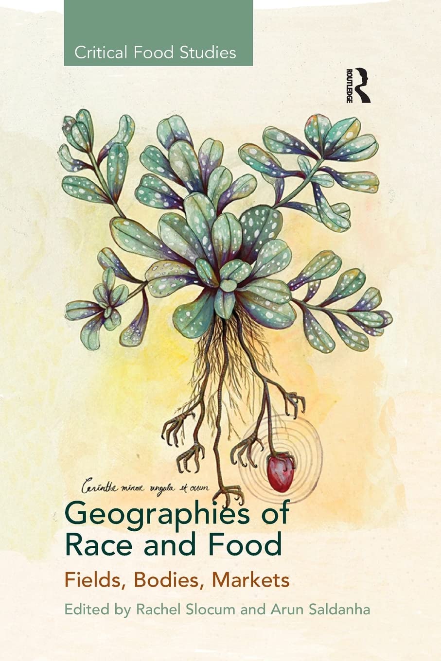 Geographies of Race and Food (Critical Food Studies)