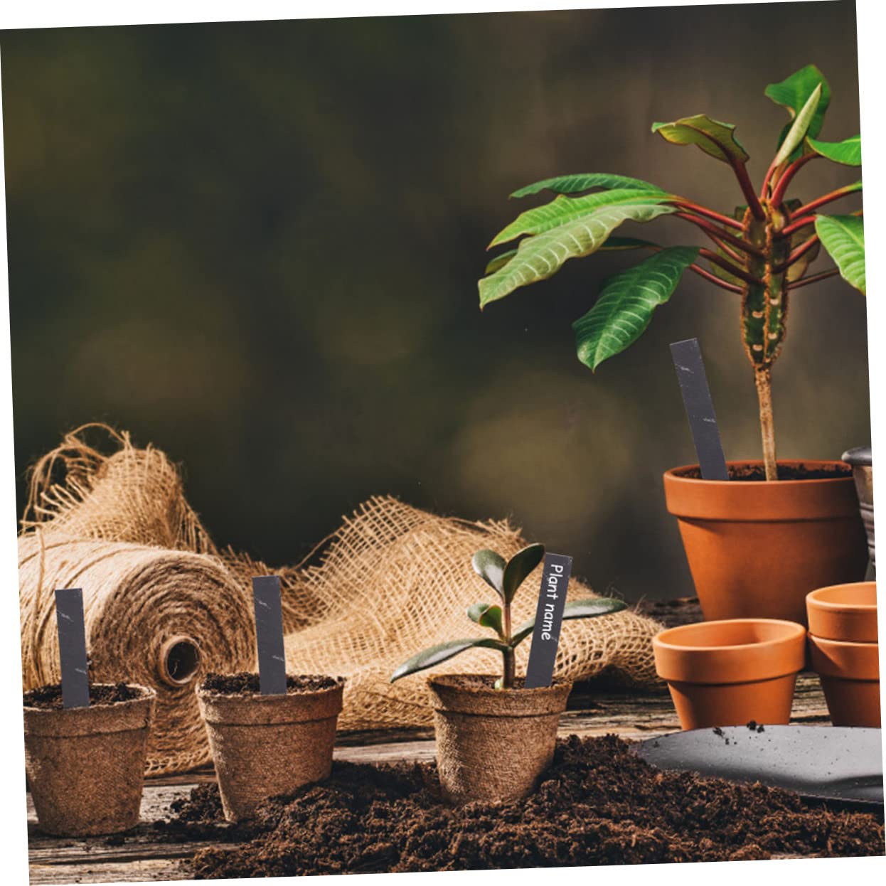 12pcs Étiquettes de Plantes en Ardoise Étiquettes Jardin Stables pour Fleurs et Plantes D'extérieur