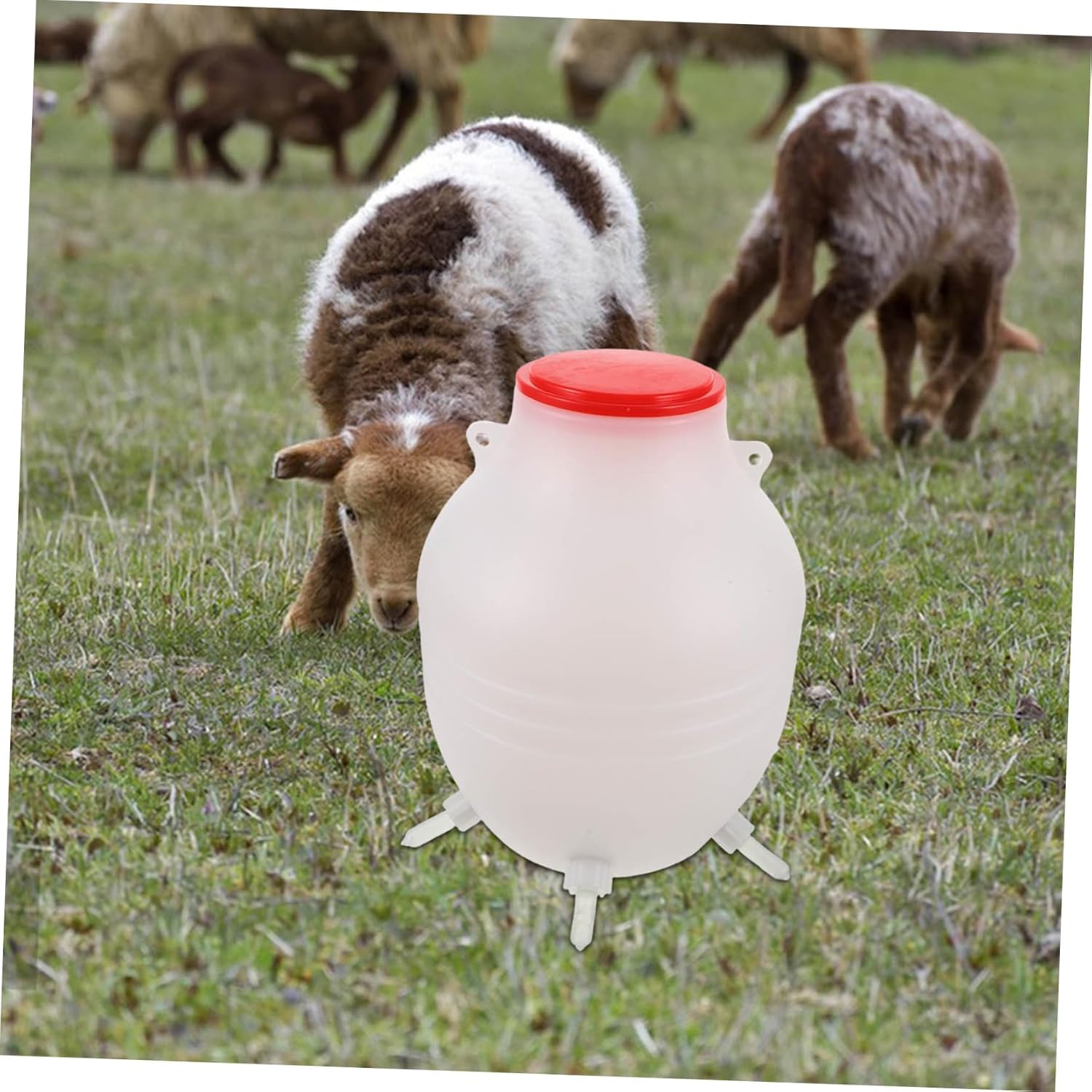 MERRYHAPY Lamb Feeding Bottle Durable Animal Milk Feeder for Goats and Sheep Safe and Portable Nursing Device with Soft Nipple for Farm Use and Livestock Care
