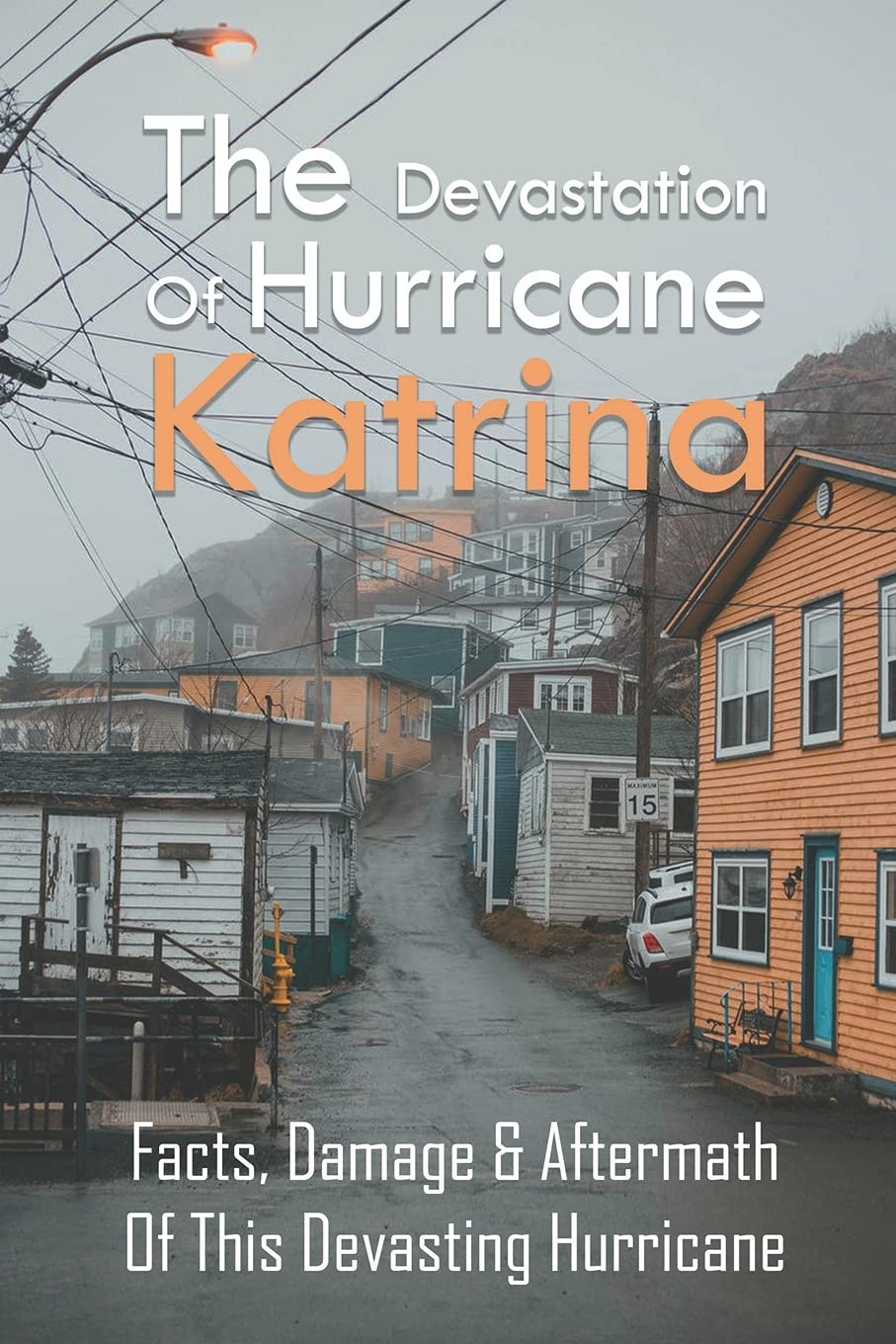 Buy The Devastation Of Hurricane Katrina Facts, Damage & Aftermath Of This Devasting Hurricane